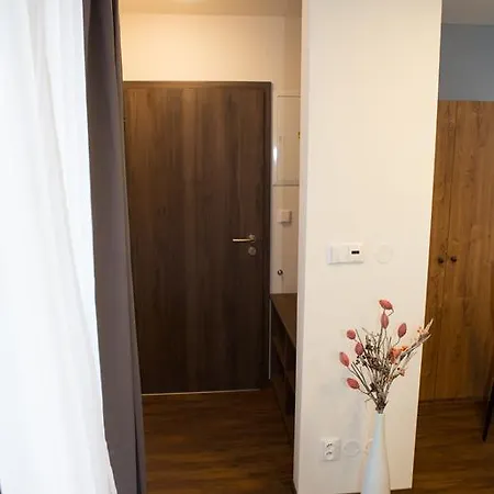 U Sv. Krystofa Апартаменты *